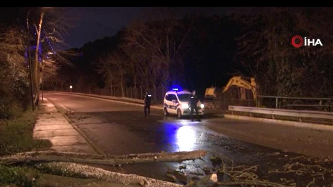 Beykoz’da fırtınada çınar ağacı yola devrildi