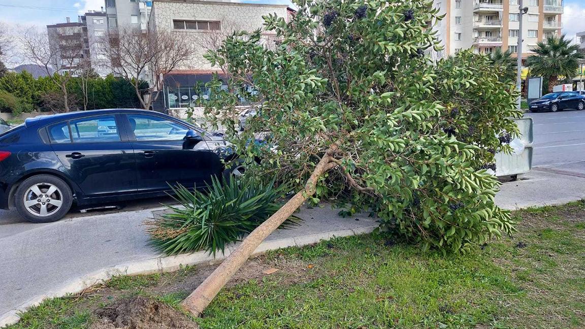 İzmir'de saatteki hızı 70 kilometreyi geçen fırtına: Bazı binaların çatıları uçtu, ağaçlar köklerinden söküldü