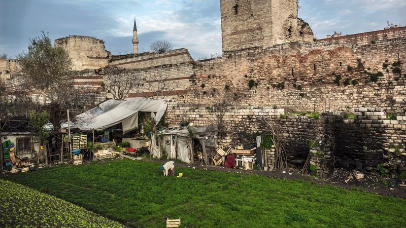 AKP'li Fatih Belediyesi, 1500 yıldır kentsel tarım alanı olarak kullanılan araziye tesis yapmak istiyor!