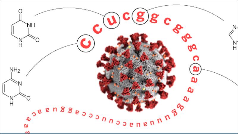 Dünyayı değiştiren 12 harf: ccu cgg cgg gca