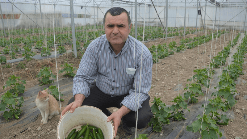 Öğretmenliği bıraktı, çiftlik kurdu: Asla pişman değilim 