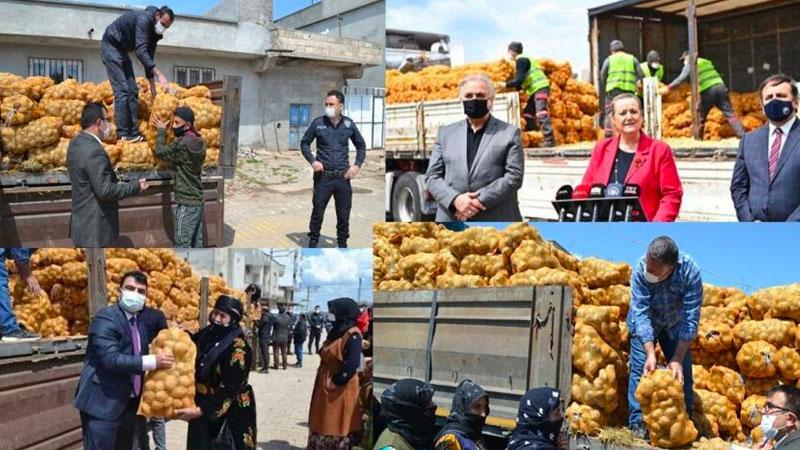 Yeni Akit yazarı Dilipak: Bu soğan patates işini en iyi Melih Gökçek bilir ama nasıl olduysa AK Parti bu işi eline yüzüne bulaştırdı