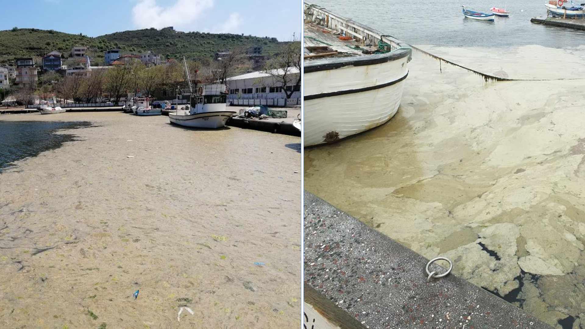 Çevre ve Şehircilik Bakanı Kurum: 3 günde 733 metreküp müsilajı bertarafa gönderdik