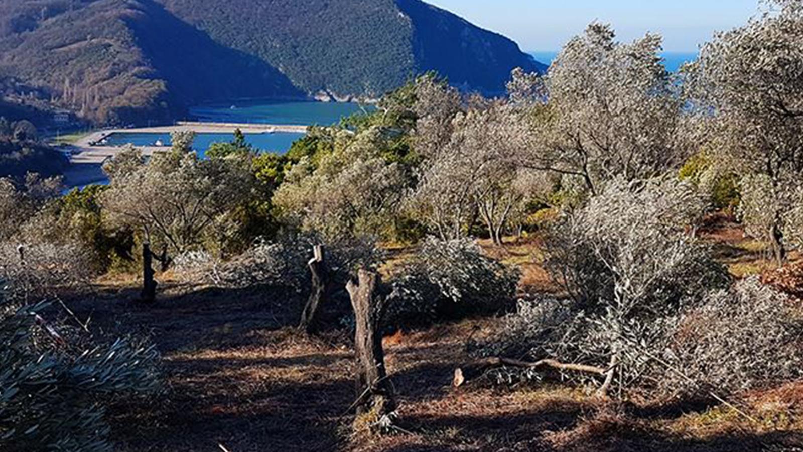 Hattat Holding, termik santrale karşı çıkan Amasra Belediye Başkanı’na 1 milyon liralık dava açtı