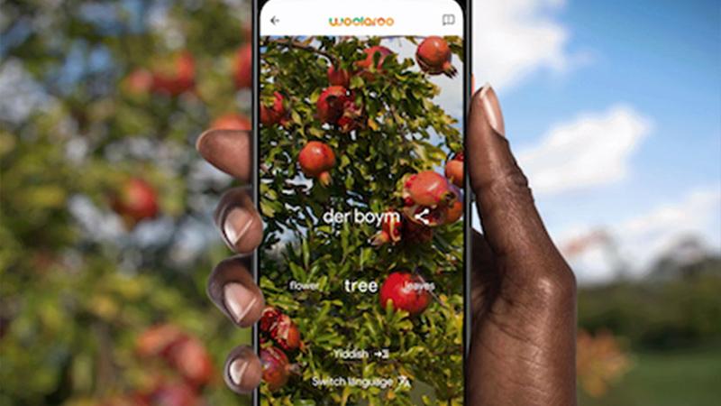 Google nesli tükenmekte olan diller için Woolaroo uygulamasını geliştirdi 