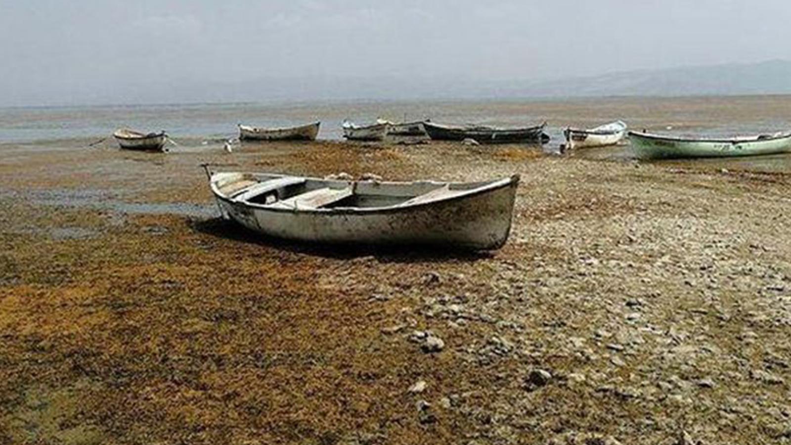 Marmara Gölü’nün kuruyan kısımlarının DSİ’den habersiz olarak onlarca kişiye kiralandığı ortaya çıktı