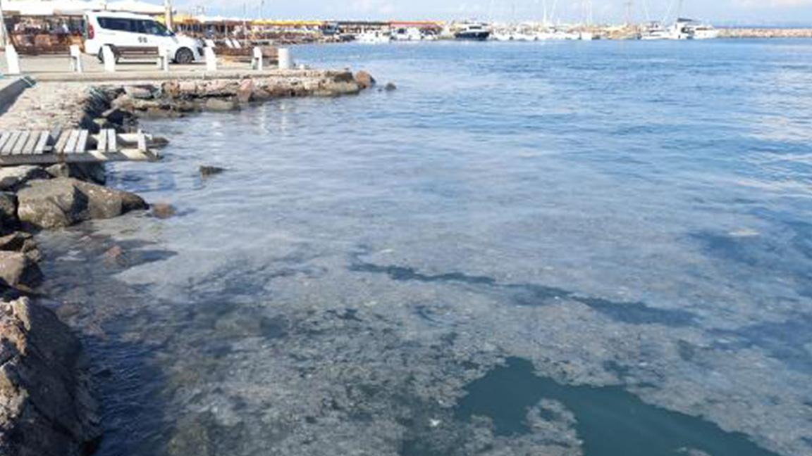 Müsilaj, Bozcaada limanında yoğunlaşmaya başladı