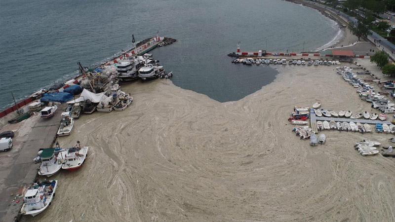 Hidrobiyolog Levent Artüz: Marmara Denizi'ne oksijen verilmesinin ciddi bir faydası olmayacak, Karadeniz'i de kaybedebiliriz!