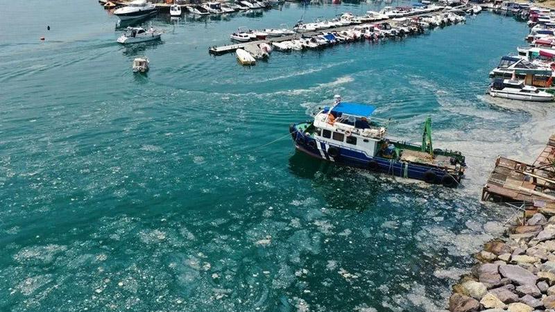 ODTÜ, Marmara Denizi'nde inceleme yaptı: Müsilaj, oksijeni 2,5-3 saatte tüketiyor