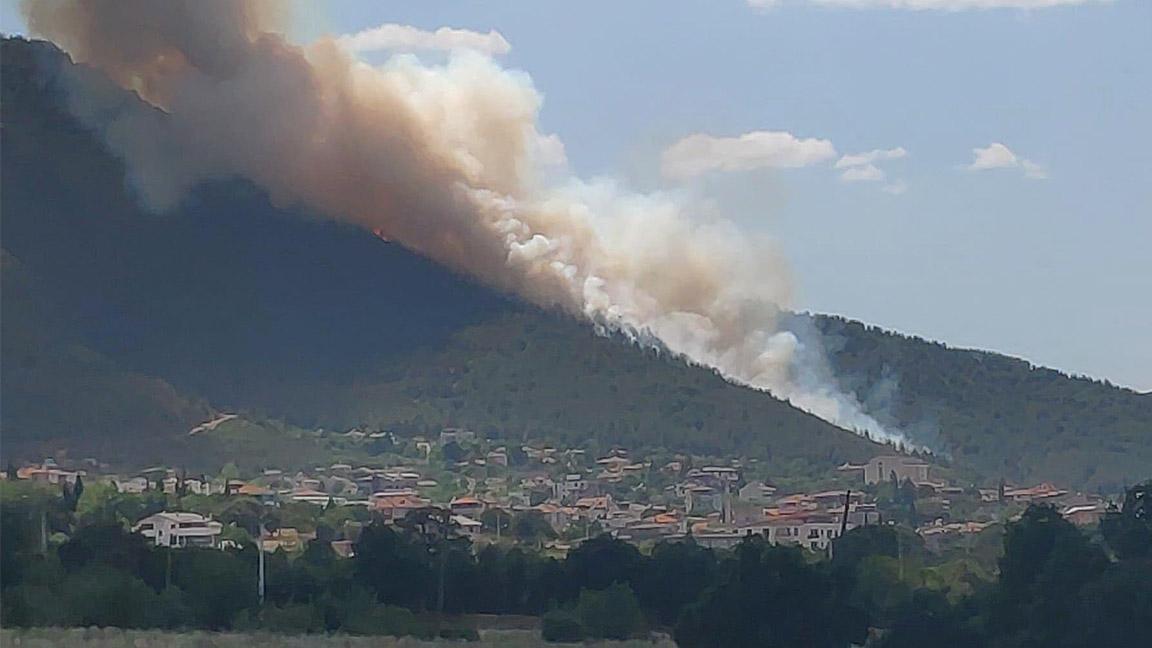 Denizli'de orman yangını