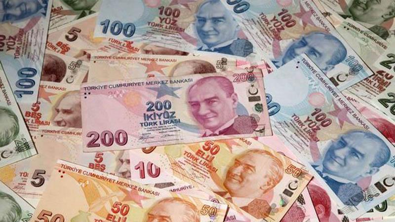 Orman yangınından etkilenen bölgelere 72.5 milyon TL'lik nakdi yardım