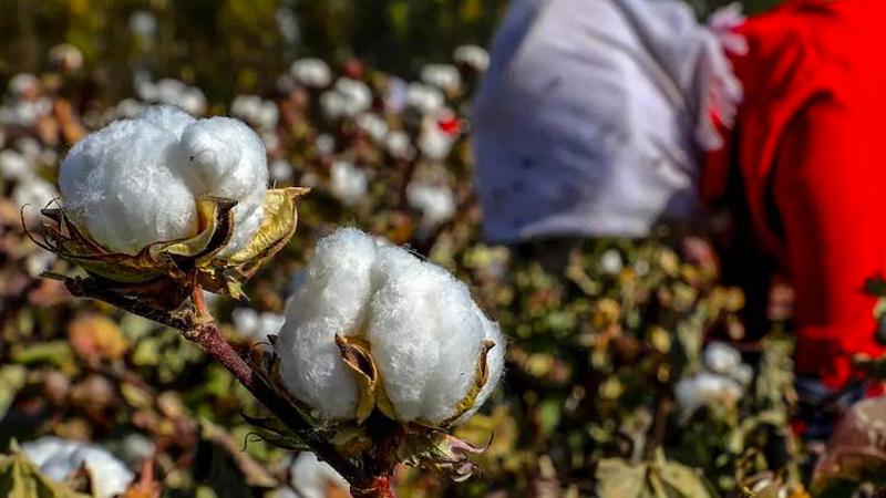 Fransız yargısından, Uygurlardan kazanç sağlayan şirketlere soruşturma