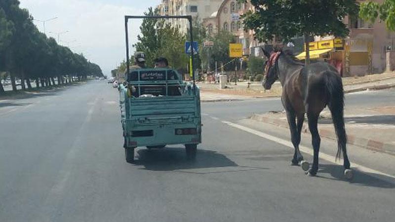 Atı, elektrikli motosiklete bağlayıp çeken 2 kişiye  para cezası 