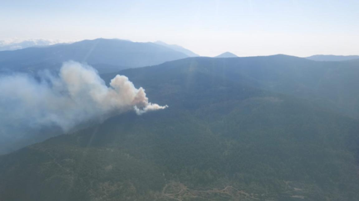 Hatay'da çıkan örtü yangını kontrol altına alındı 