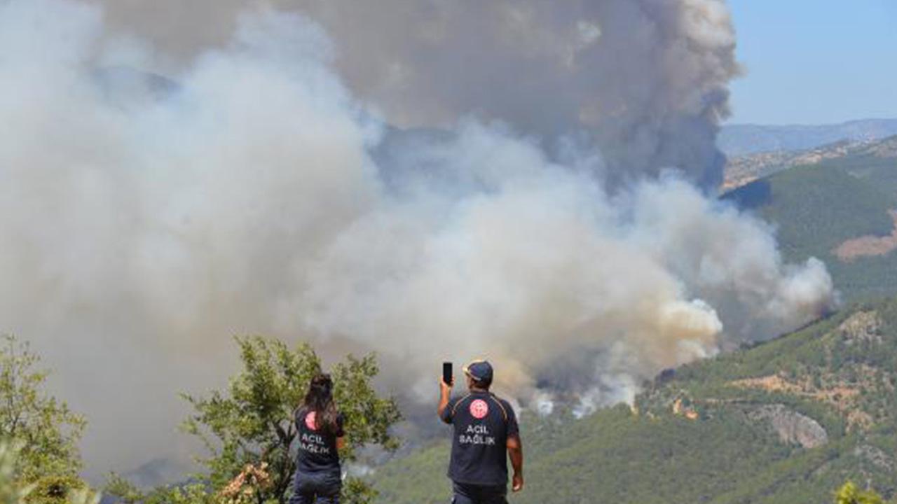 Fotoğraf temsilidir