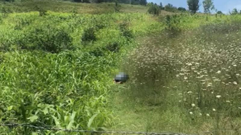 Bartın’da köpeğe cinsel istismarda bulunan bir kişi gözaltına alındı