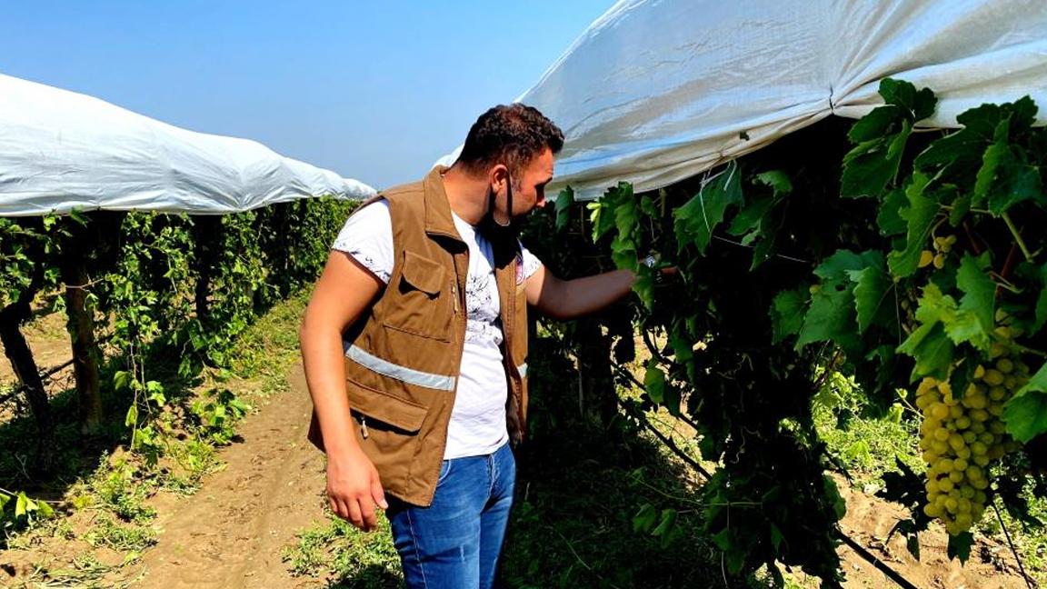 Manisa'da dolu ve fırtına 11 bin dekarlık alana zarar verdi