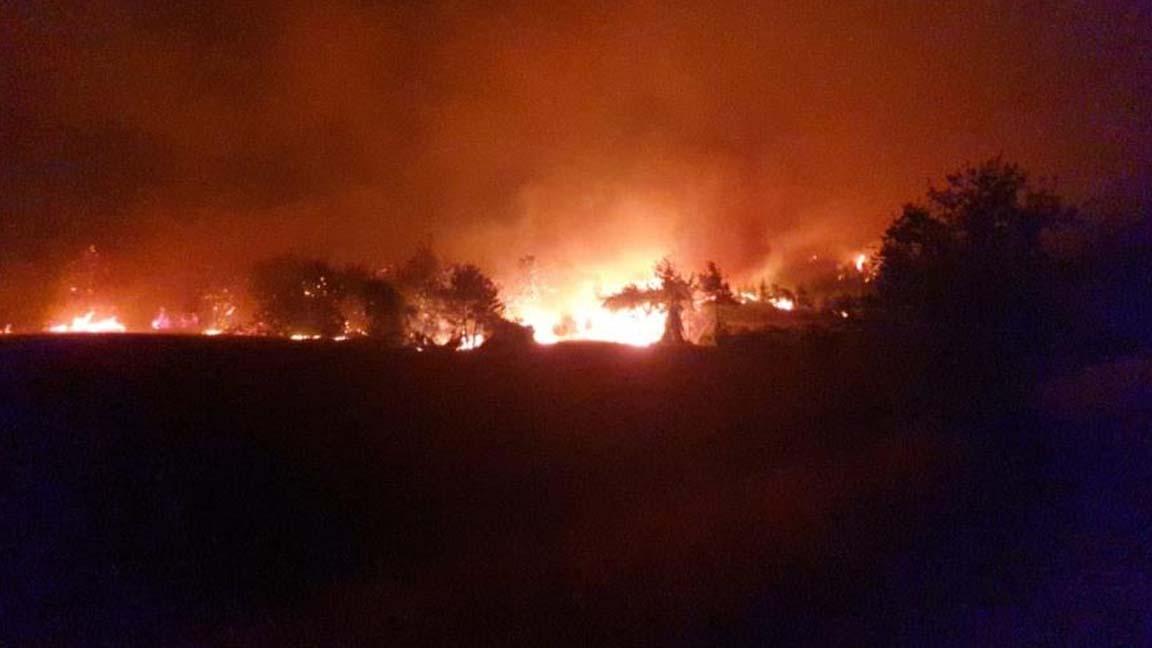 Osmaniye'deki orman yangınına havadan müdahaleye ara verildi 