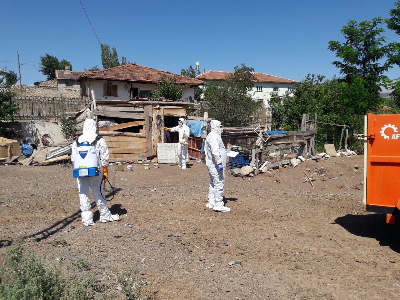 Tokat'ta kuş gribi şüphesi: 200 hayvan itlaf edildi