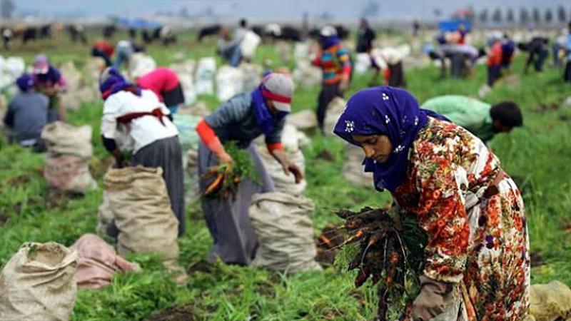 "Suriyeli işçiler 16 saate kadar çalışıyor; ücretleri düşük ve kimi zaman 3-4 ay ödenmiyor"