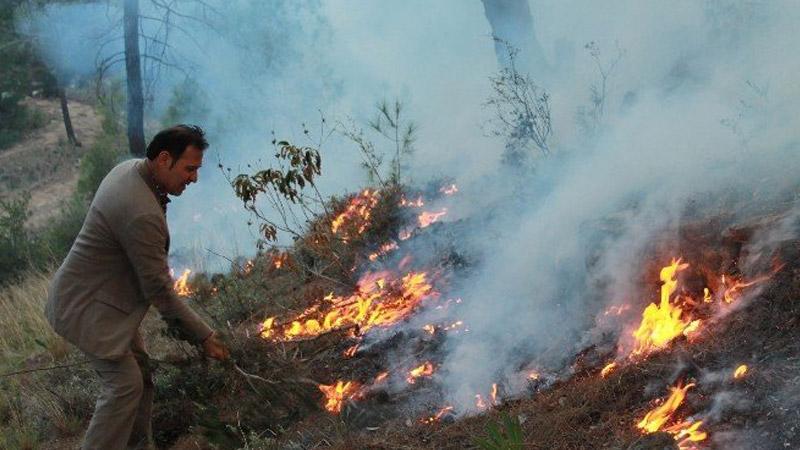 Fehmi Koru: Yangınlarla mücadelede bir önerim ve bir de dikkat isteyen bir uyarım olacak