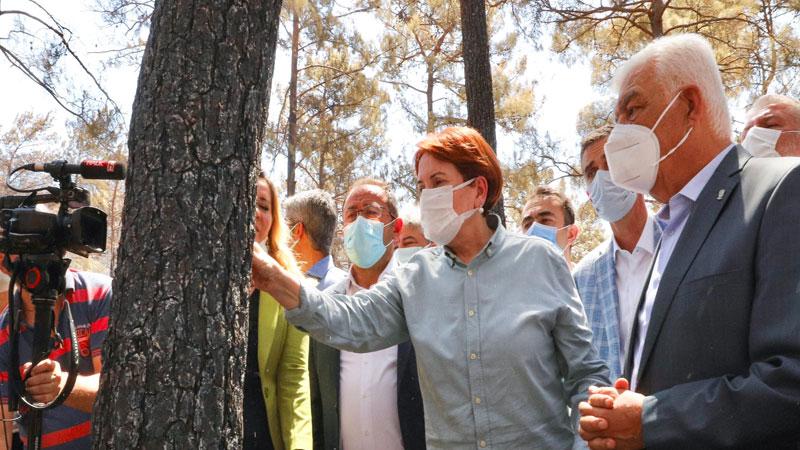 Akşener: Marmaris'te yangından zarar gören ağaçlarımızın yerine beton dikilmesine fırsat vermeyeceğim 