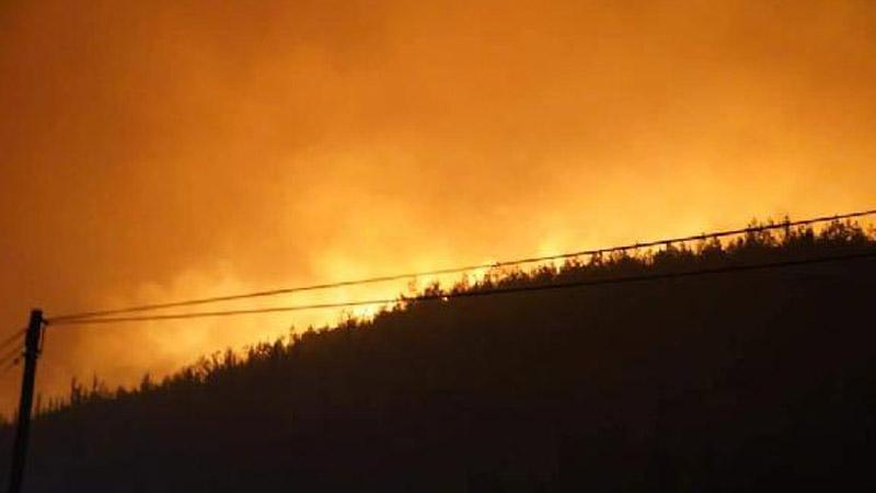 Milas'taki yangın sürüyor; Belediye Başkanı Tokat: Uçaklar devreye sokulmadığı sürece iş burada zor 