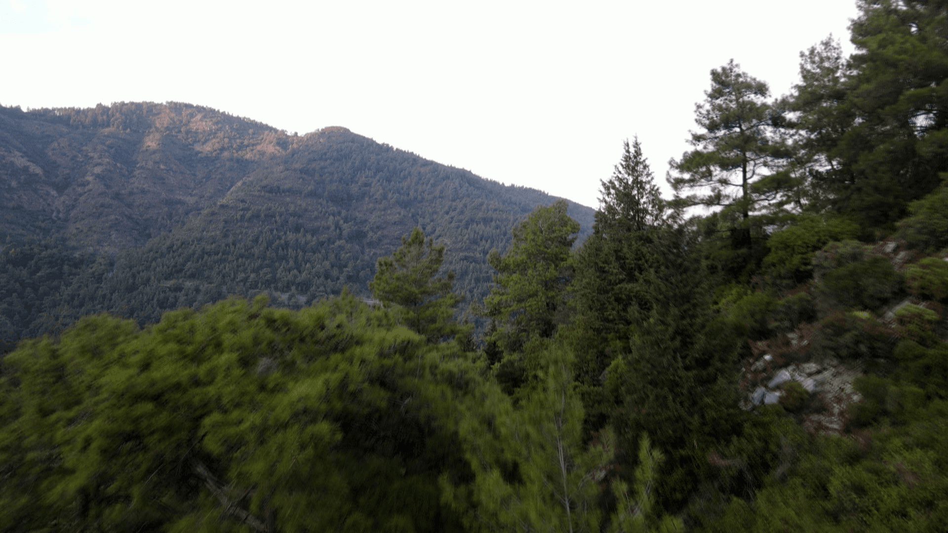 Marmaris'te yangın devam ediyor; yanan bölgelerden geriye bu fotoğraflar kaldı 