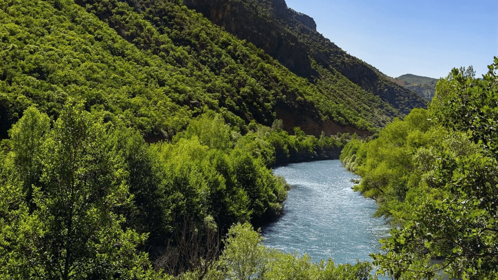 Tunceli'de 1 ay boyunca ormanlara giriş yasağı