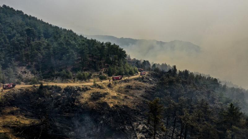 Manavgat'taki yangını 12 yaşında bir çocuğun çıkardığı belirlendi