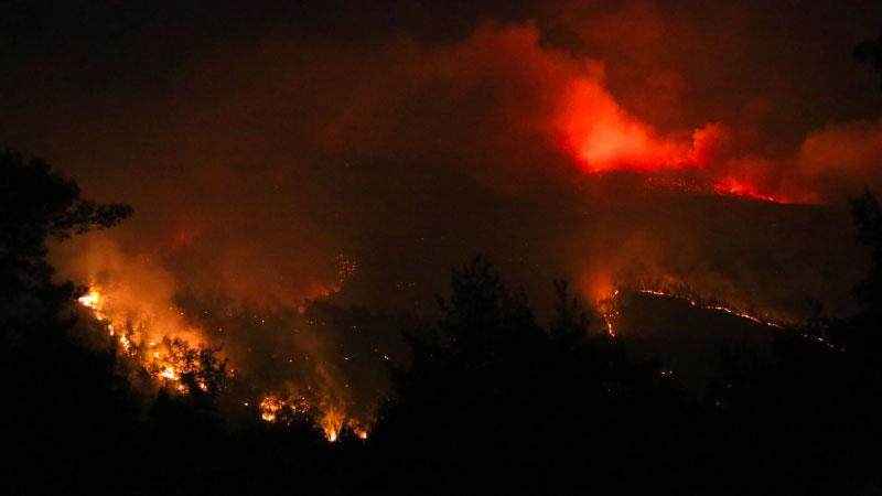 Bodrum yangını: 'Cennet Mazı'dan geriye hiçbir şey kalmadı'