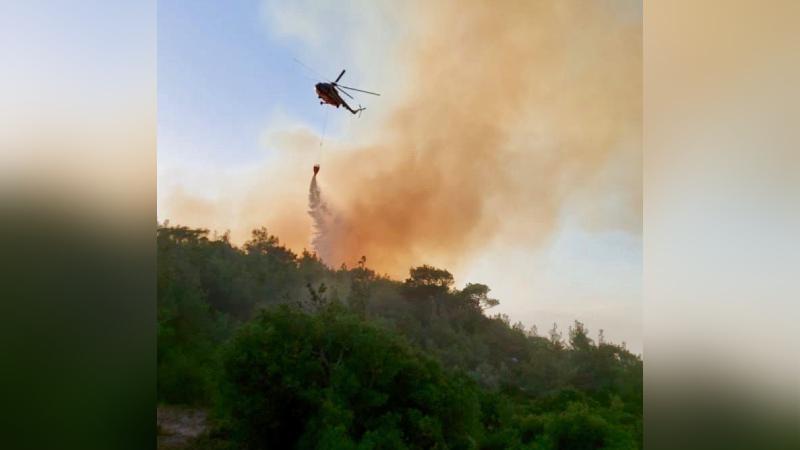 Çanakkale'de çıkan orman yangınına müdahale ediliyor