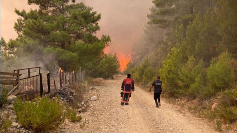 Manavgat'ta 60 bin hektar ormanlık alan kül oldu, 7 kişi yaşamını yitirdi, 33 bin hayvan öldü