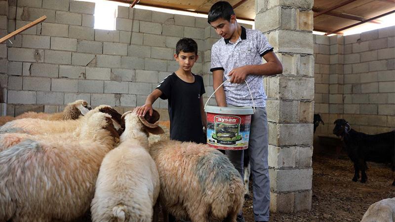 Ailelerinin keçilerini kaybettikleri için saklanan çocuklar, 14 saat sonra bulundu 