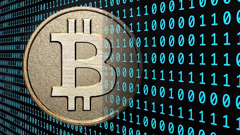 Araştırma: Bitcoin'deki ilk 10 bin bireysel yatırımcı, dolaşımdaki kripto para biriminin yaklaşık üçte birini kontrol ediyor