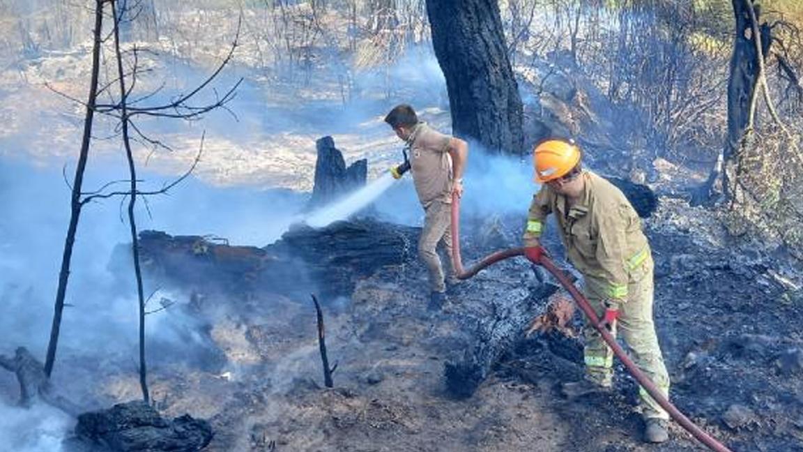 Antalya'da bahçede başlayıp, ormana sıçrayan yangın söndürüldü; 1 kişi gözaltına alındı