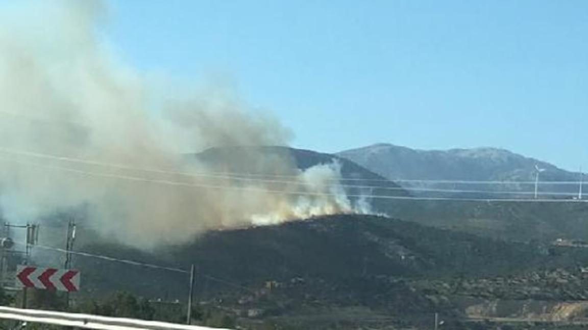 İzmir ve Muğla'da çıkan orman yangını kontrol altına alındı