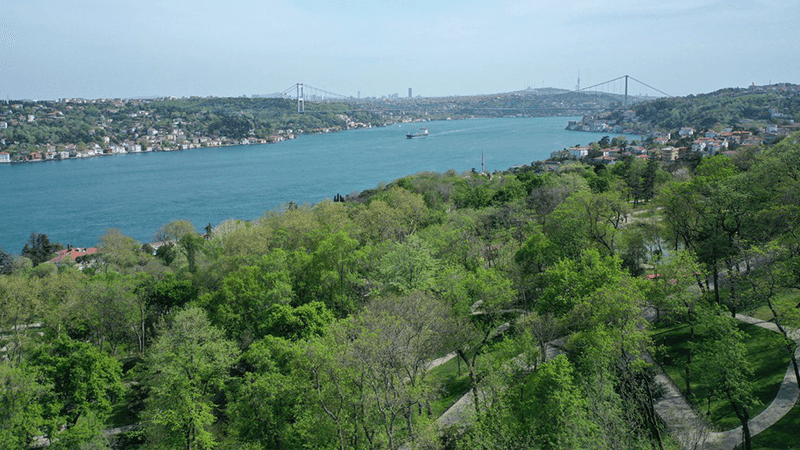 İstanbul’da ormanlık alanlara giriş yasağı uzatıldı