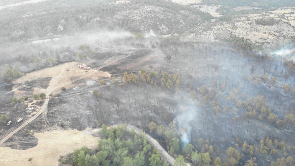 Çanakkale'deki orman yangınında 30 hektarlık alan zarar gördü