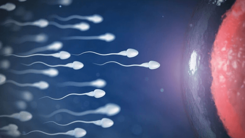 "Covid-19 aşısı, erkeklerde sperm sayısını artırıyor"