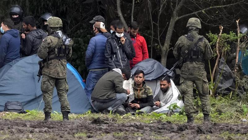 BM göç örgütü, Polonya ve Belarus sınırındaki göçmenlerin karşı karşıya olduğu koşullardan dolayı endişeli