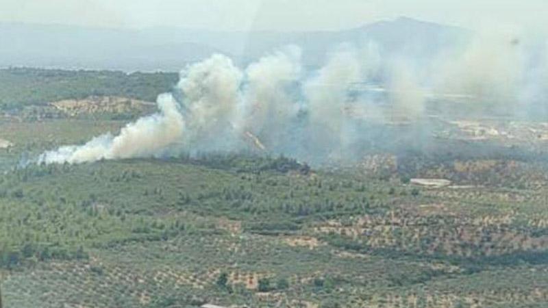 İzmir'de makilik alanda çıkan yangın kontrol altına alındı