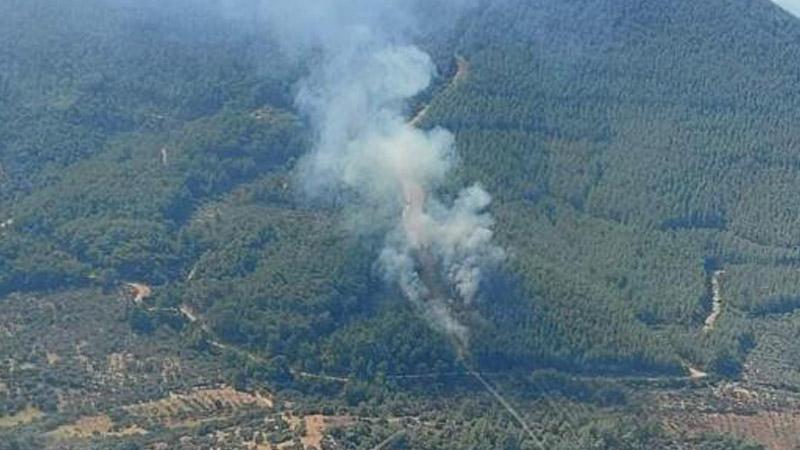 İzmir'de çıkan orman yangını söndürüldü