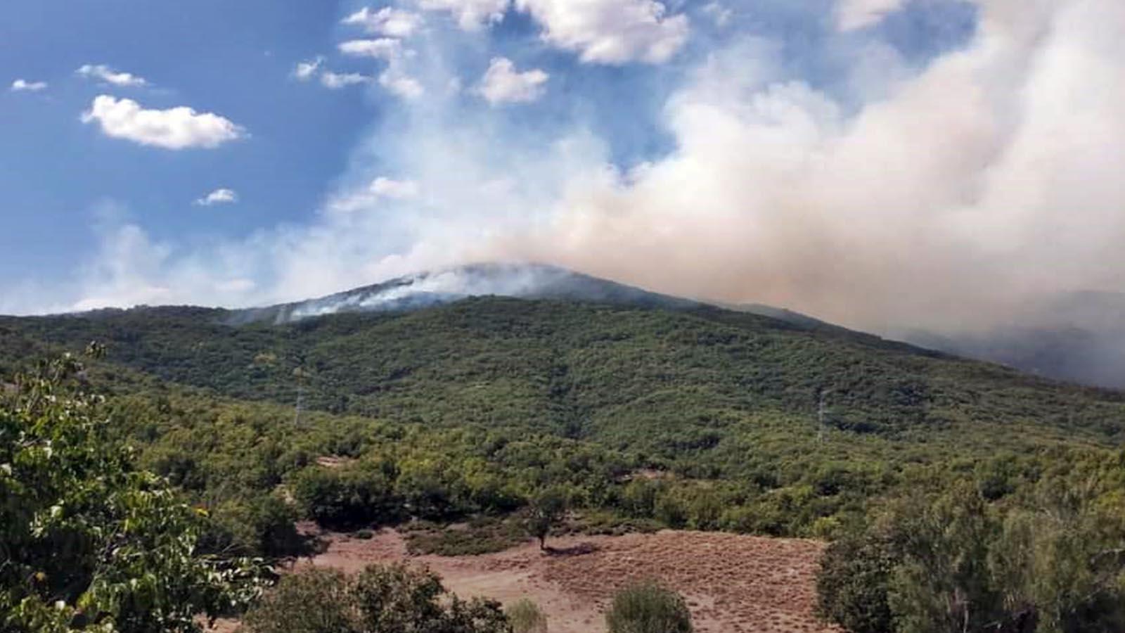 Tunceli'de iki gündür süren örtü yangını kısmen kontrol altında