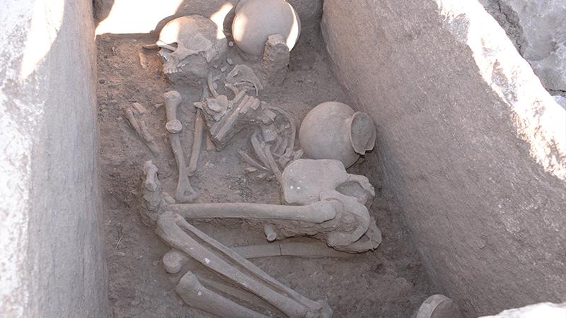 Çayönü Höyüğü'nde 5 bin yıllık sandık mezar bulundu