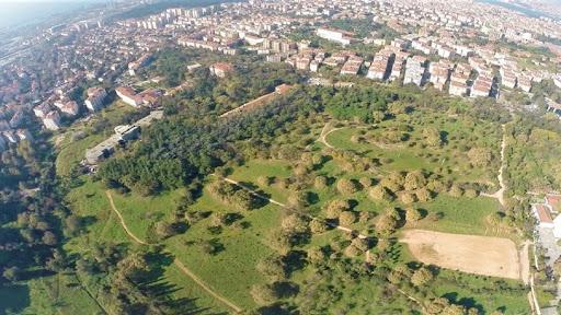 Validebağ Korusu için çıkartılan imar planları mahkemece iptal edildi