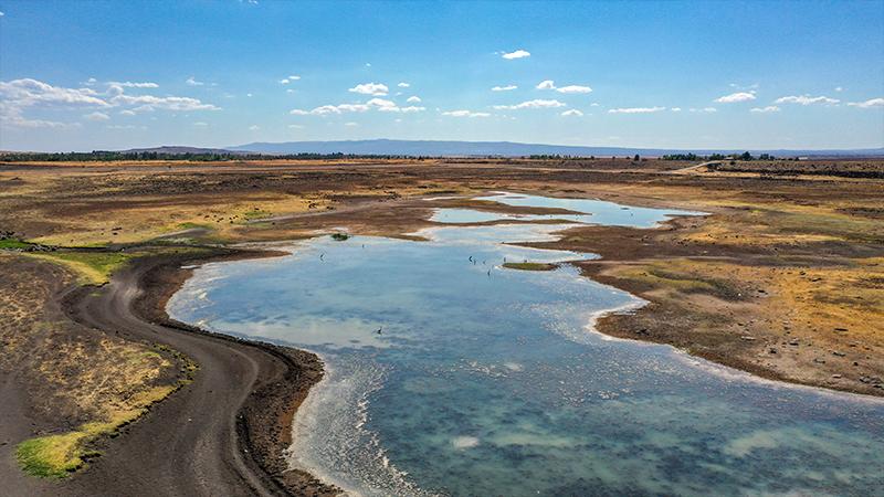 Diyarbakır'daki Devegeçidi Baraj Gölü kuraklık tehlikesi yaşıyor