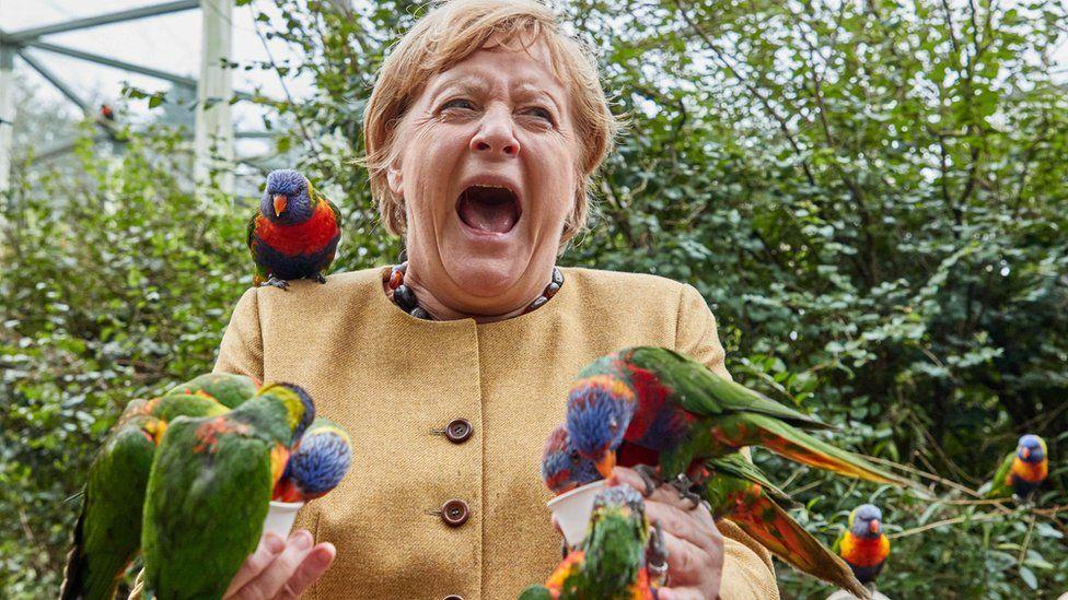 Fotoğraflarla 16 yıllık başbakanlık dönemi sona eren Merkel'in siyasi hayatı