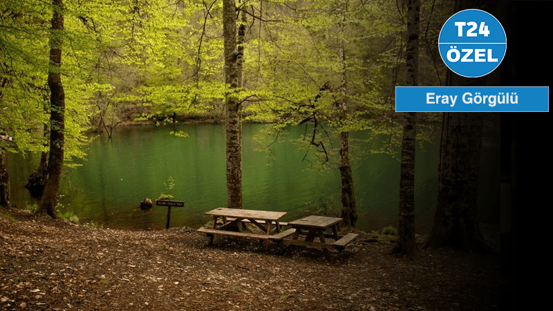 Sayıştay’dan Milli Parklar için yangın yönetim planı yok uyarısı