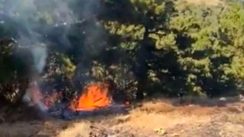 İzmir'de otluk alanda çıkan yangın ormana sıçradı